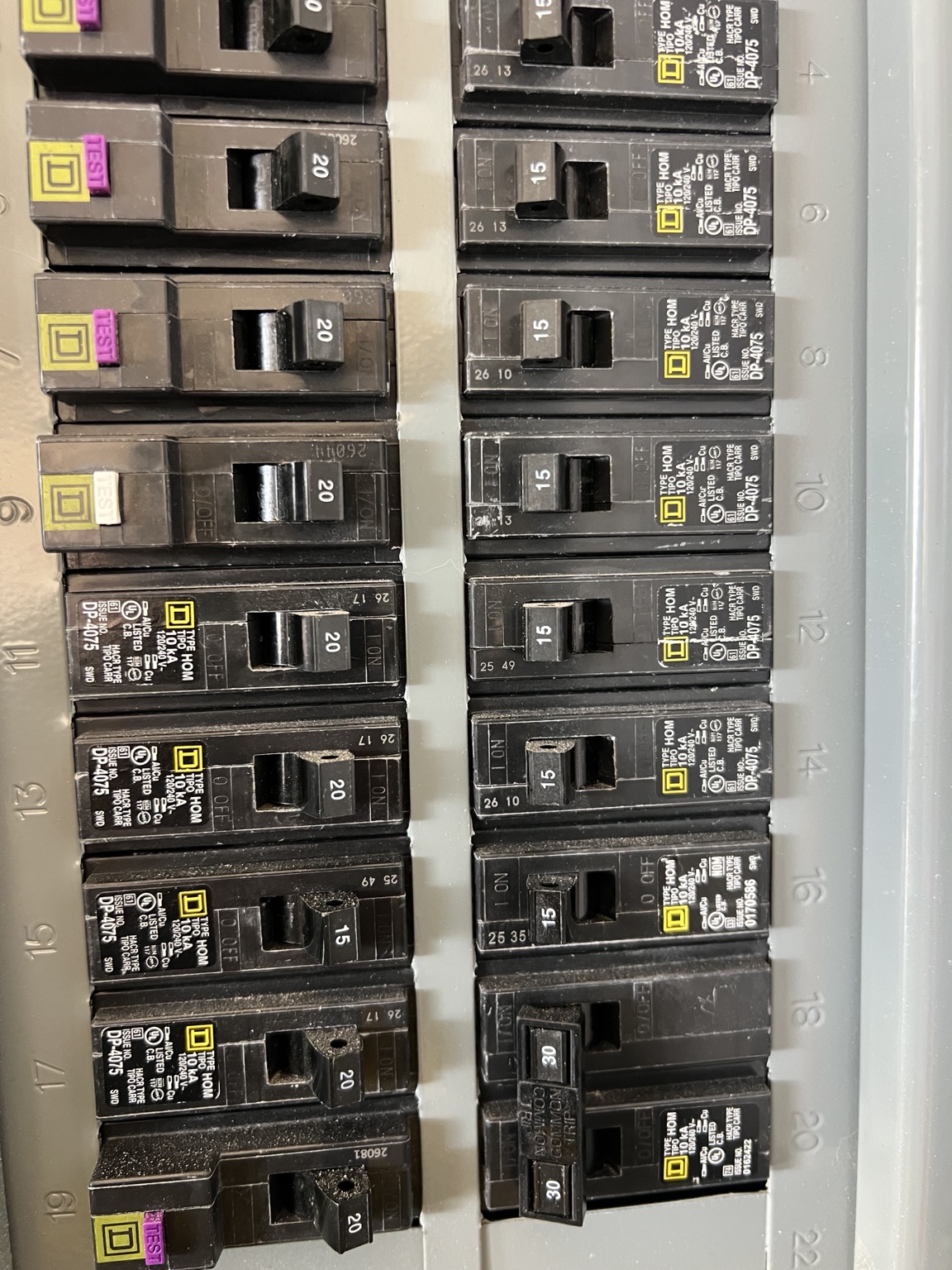 Electrical panel service